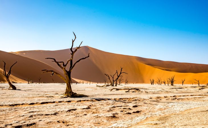 namib desert
