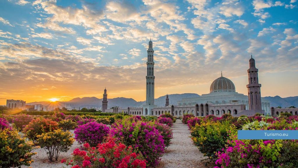 muscat