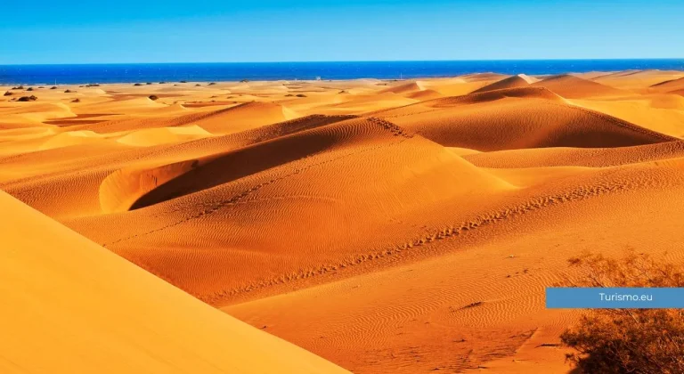 maspalomas