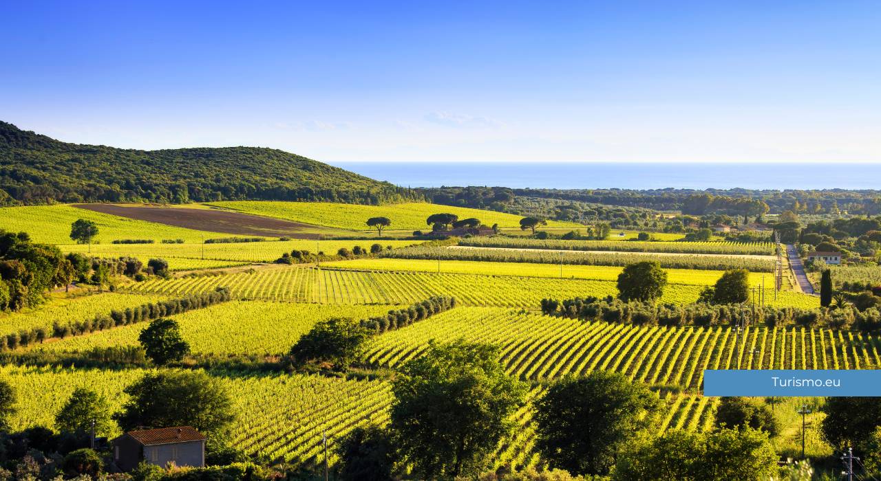 maremma