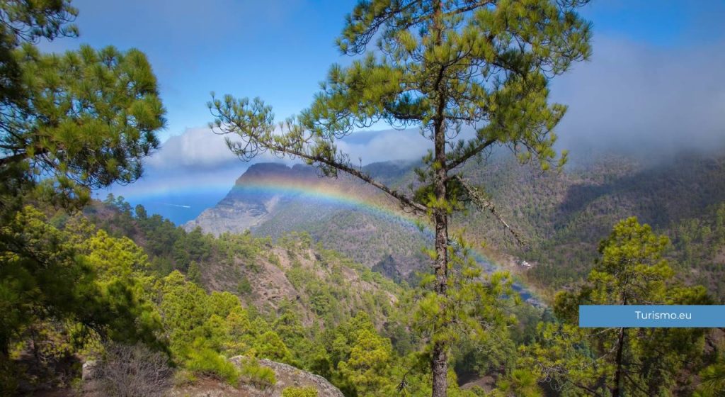 tamadaba, gran canaria